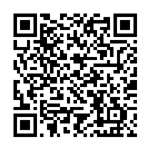 只要你们将火怒莲花具体的消息告知与我和韩风即可二维码生成