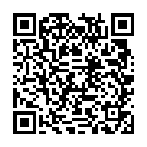 只要你们能将那些家伙打倒在地上不敢再来追我们二维码生成