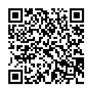 只要你们能找出大宋时代周刊上任何一篇不属实的新闻二维码生成