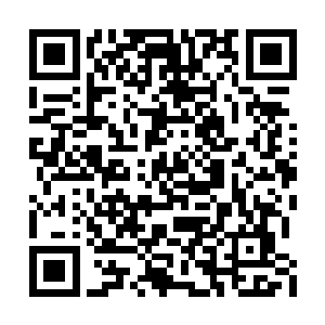 只要你能和我们中的任意一人打上十招还不落败二维码生成