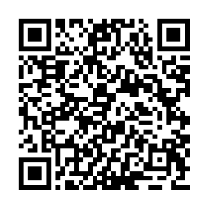 只要你能够帮助他取得到圣域里面他想要的东西二维码生成