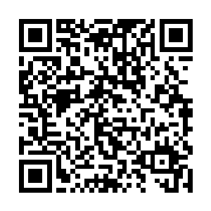 只要修武界的阴阳派以及东瀛那边的三大忍宗不出手二维码生成