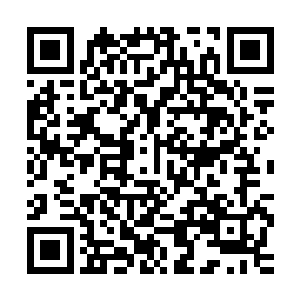 只要傀儡不被毁灭那么傲家就永远会有一个仙尊中期的高手坐镇二维码生成