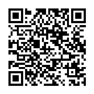 只要再将二叔逼疯或者逼的他不愿再活……到时候二维码生成
