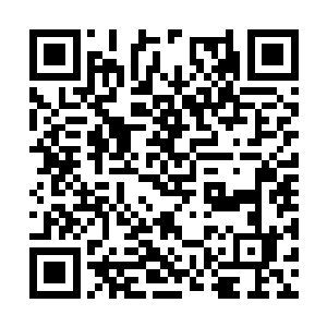 只要凉子能记起画上的风景在哪个国家的哪个地方二维码生成