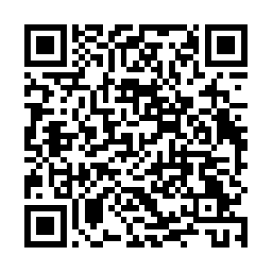 只要凤君泽有点脑子他都不会将这么敏感的话题摆出来二维码生成
