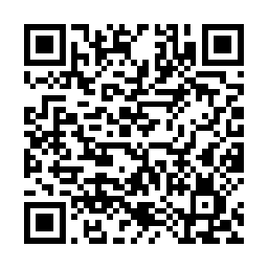 只要努力工作就能够获得相应的报酬和相应水平的生活二维码生成