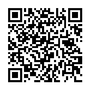 只要单一的元素占身体当中的比例超过了百分之二十二维码生成