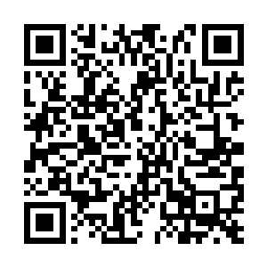 只要司马家族这块金字招牌在今夜没有被彻底摧毁二维码生成
