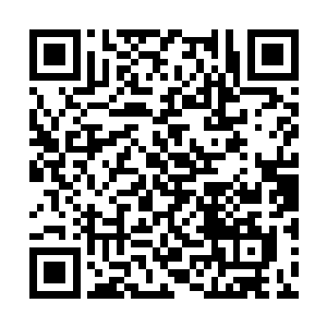 只要吴令主你的随扈弟子都能证明这件事跟你无关二维码生成