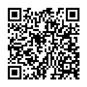 只要四大家族皇牌舰队的最高指挥官不是又蠢又瞎二维码生成