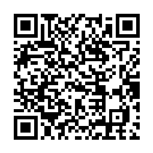 只要圣女可以帮助我抹除那玉清昆仑扇产生的神念二维码生成