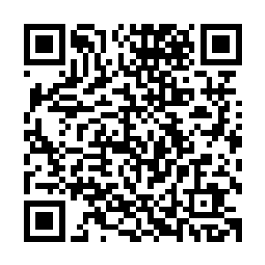 只要在每个仙女鱼的家族里放进一条不属于这个家族的仙女鱼二维码生成