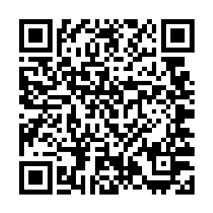 只要在这里多多收获灵石丹药等等此类的宝物就好了二维码生成