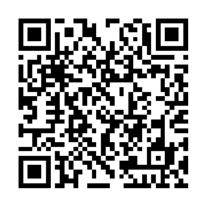 只要坚守心智不被迷惑将之炼化就能增加攻击力量二维码生成