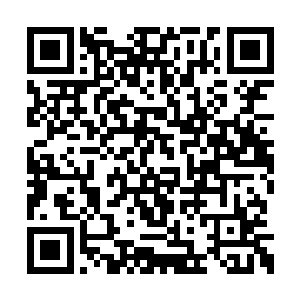 只要多宝天王和抚琴天王给我争取到一点儿时间二维码生成