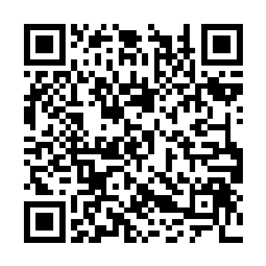 只要天天都像此刻一样能够缩在林烽温暖的怀抱里二维码生成