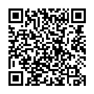 只要她们之间的竞争没有歪曲恶化到会自相残杀的地步二维码生成
