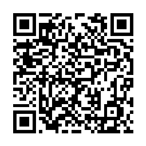 只要守军和回天舰队的指挥官们能稍稍有点儿耐心二维码生成