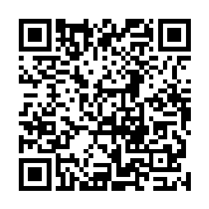 只要对它有一定了解的人都不会杀死它而是要选择收服它二维码生成
