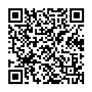 只要将身体当中的空气和多余的血液排出体外就可以了二维码生成