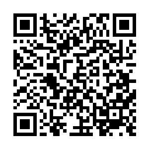 只要小姐死了他就可以安安稳稳的坐在北冥家主的位置上二维码生成