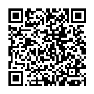 只要小心点这里的植物和那些潜藏在暗处的动物就好二维码生成