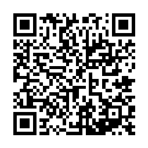 只要尼尔王和胡莲仔细调查肯定能查出一些蛛丝马迹二维码生成