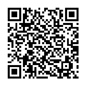 只要尽快将洛阳锦推上洛家家主的位置上就可以了二维码生成