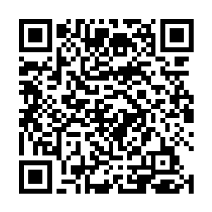 只要张老板以心魔起誓不会将今日我们的交谈泄露出去二维码生成