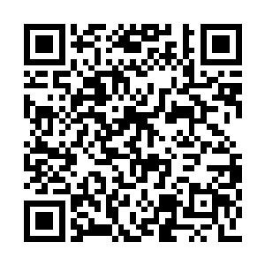 只要您能够保护我们周家不被四大超级联盟灭族二维码生成