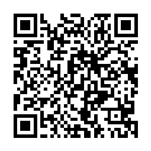 只要想办法催动肠胃通过呕吐或者大便把它排出来就成了二维码生成