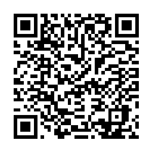 只要想想他在智科生物服务有限公司里有四分之一的股份二维码生成