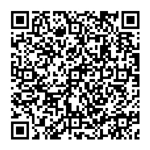 只要想想有一天轩辕之丘的金水河上老周掌着一艘加装了发动机的小舟在河面上划出一条白线疾驰如箭二维码生成