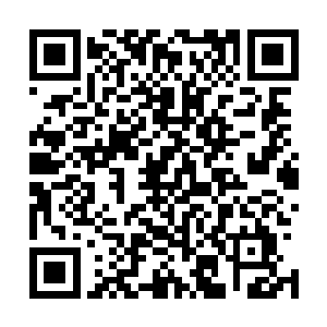 只要我们人生之中有那么一些人曾经在我们的人生之中走过二维码生成