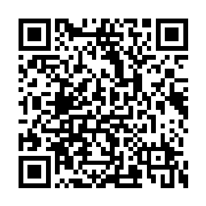 只要我们救下的女弟子就足够你我二人享用的了二维码生成