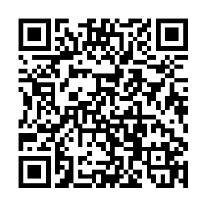 只要我们活着一定将你的这些兄弟收入天帝学院之中二维码生成
