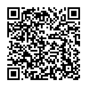 只要我们获得这些公司的授权就算打官司无非就是扯皮拖时间而已二维码生成