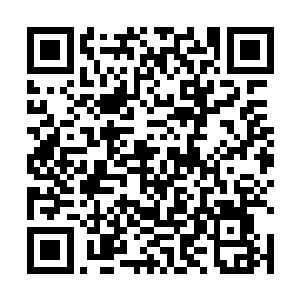 只要我公开说主公就是教典中记载的我们的唯一的主人二维码生成