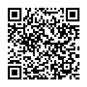 只要我心理上不抗拒的话还是挺享受的但是这尼玛能不抗拒草二维码生成