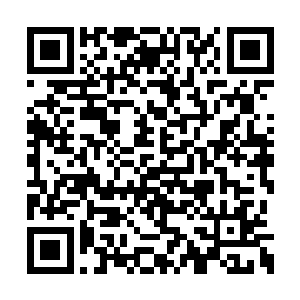 只要我这条忠狗对你们将家还有一点点利用价值二维码生成