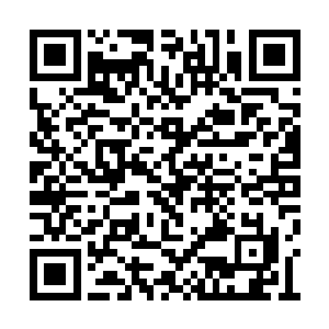 只要把白小仙的头发放入往生果内他就能复活么二维码生成