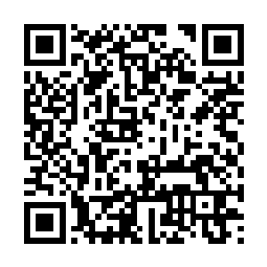 只要把肚子里的小家伙生下来就好了・・・・・・二维码生成