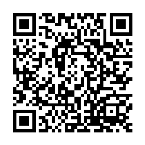 只要抵住剧情碾压就可以像以前那些任务一样顺利完成任务了二维码生成