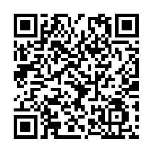 只要是他稍微脸熟一点的就嘻嘻哈哈的凑上去说话二维码生成