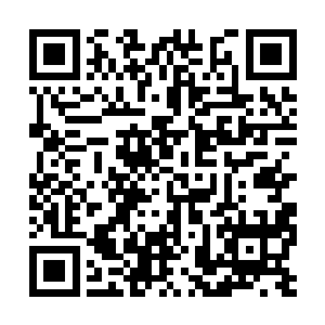 只要是县长办公会或者县政府常务会议上定下来的二维码生成