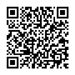 只要是吃了这枚丹药就可以将自己的容貌保持在最美的年华里面二维码生成