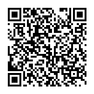 只要是在各自不同猎海灵息感应的范围之内被斩杀的海族和海兽的二维码生成