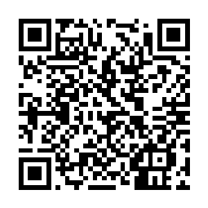 只要是有关林诗音的事情无论大小事都要过来禀报二维码生成