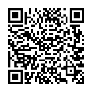只要是没有超过冲霄的金鳞龙鱼万年修为的……十有二维码生成